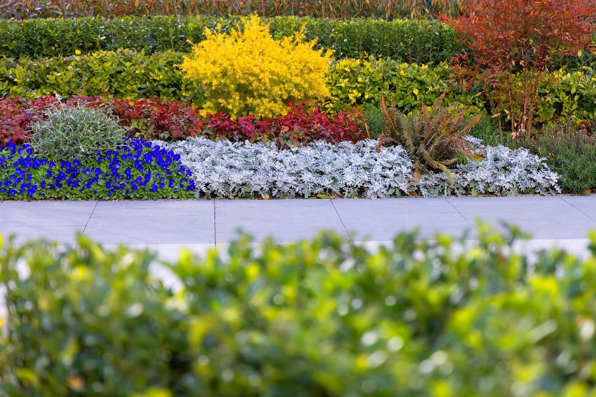 腾博会官网 - 诚信为本,专业服务!